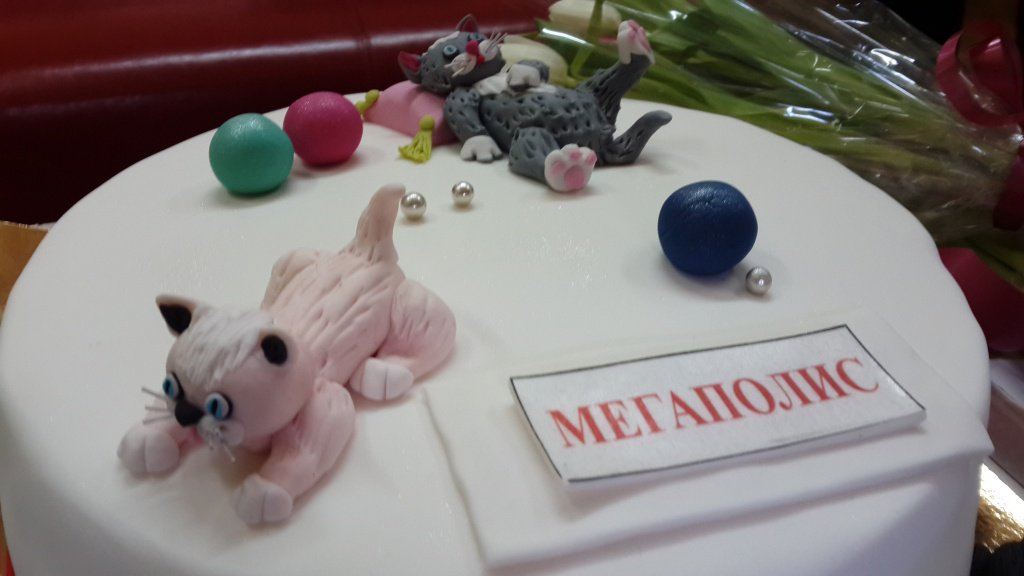 20150306_111832.jpg