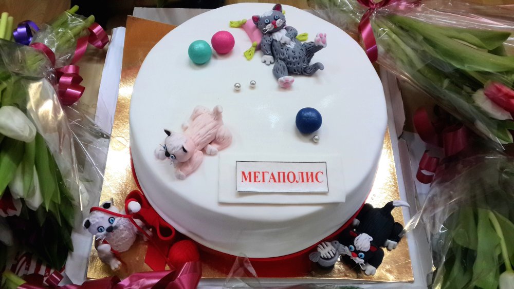 20150306_1114291.jpg