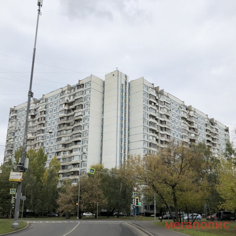 Бирюлевская улица