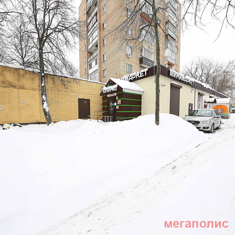Красногорск, ул. Вокзальная